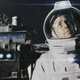 Image for article titled 10 of the Most Insane Death-Defying Stunts from Science Fiction Movies